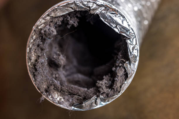Best HVAC Maintenance and Cleaning  in Brainerd, MN