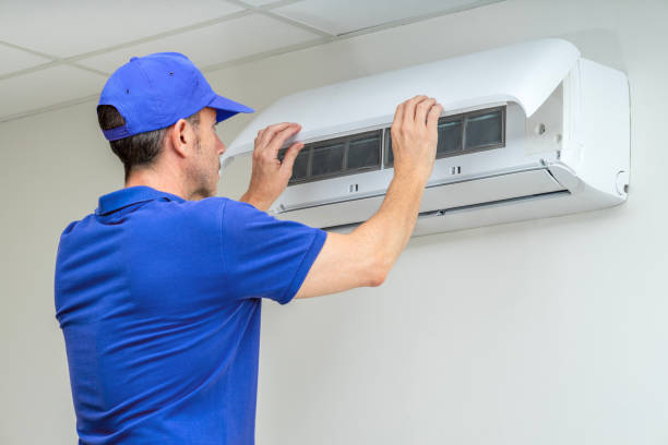 Best Home Air Vent Cleaning  in Brainerd, MN